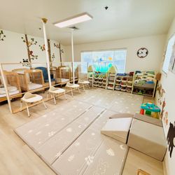 Little Genius Academy