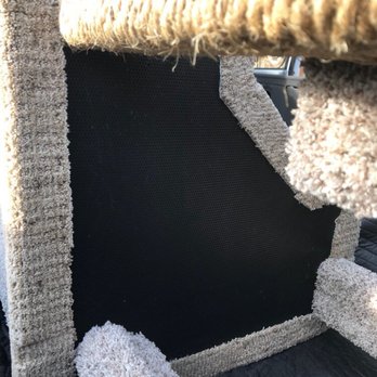 Custom Kittys - Pet Stores Near Me - San Marcos, California Custom Kittys - Pet Stores Near Me - San Marcos, California