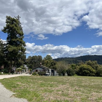 Hallcrest Vineyards - Wine Tasting Room Near Me - Felton, California