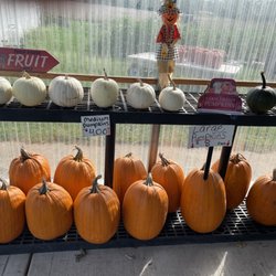Homer Honey Farm