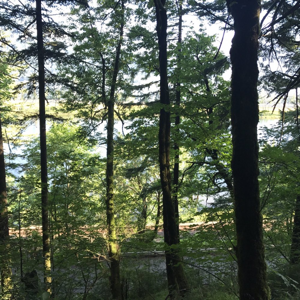 Wahkeena Falls - Parks Near Me - Troutdale, Oregon Wahkeena Falls - Parks Near Me - Troutdale, Oregon