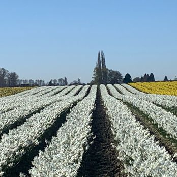 Shutter Tours - Tours Near Me - Seattle, Washington