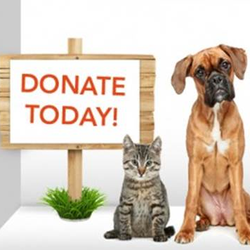Fall Creek Dentistry - Donation Drive for the Humane Society for Hamilton County The doctors and staff at Fall Creek Dentistry are excited to onc...