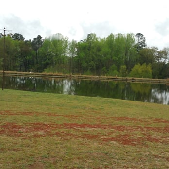 Old McDonald Fish Camp - Seafood Near Me - North Augusta, South Carolina