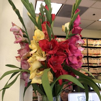 Goldberg Dental Group - They decorate with gladiolus & are associated with FUNERALS. How appropriate. They've used this type of flower for over a yr. - Cosmetic Dentists Near Me - San Diego, California