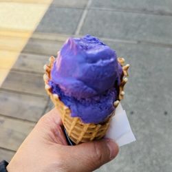 Timothy's Frozen Yogurt