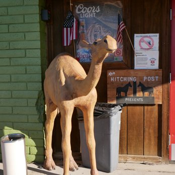 The Hitching Post - Camel welcoming committee. - Pizza Near Me - Apache Junction, Arizona The Hitching Post - Camel welcoming committee. - Pizza Near Me - Apache Junction, Arizona