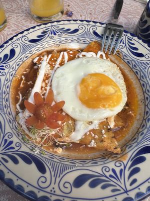 The Red Tree House by null