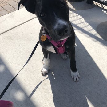 Manteca Dog Park - Dog Parks Near Me - Manteca, California
