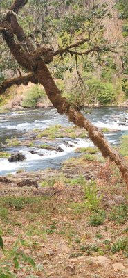 Steamboat Inn by null