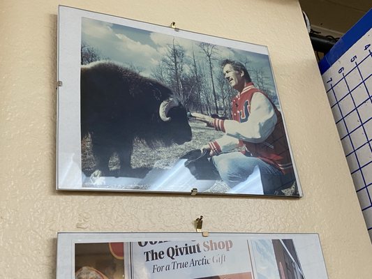 Musk Ox Producers' Co-Operative by null