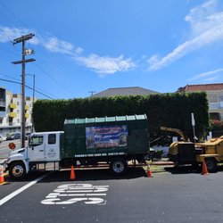 Pineda's Tree Care