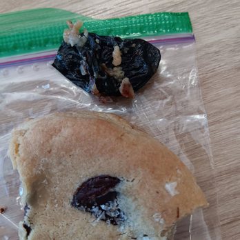 Chip Cookies - Tip of rubber glove that I chewed on. - Bakeries Near Me - Boise, Idaho
