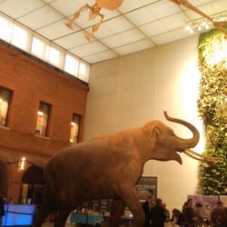 Boutique du Muséum d'Histoire Naturelle