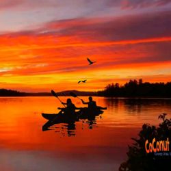 Coconut Kayak Tours
