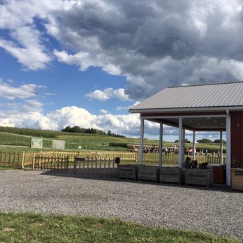 Wickham Farms - The wagon rides. Also the field shown here is corn, sunflower field behind and apple trees full of growing fruit. - Mini Golf Near Me - Penfield, New York