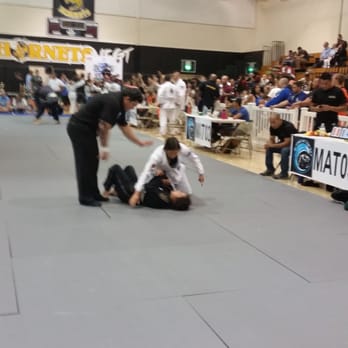 Alameda High School - Baby Girl kicking butt ju-jitsu tournament double threat boxer and martial arts. - Middle Schools & High Schools Near Me - Alameda, California Alameda High School - Baby Girl kicking butt ju-jitsu tournament double threat boxer and martial arts. - Middle Schools & High Schools Near Me - Alameda, California