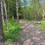 Photo of Starkey Hill Conservation Area