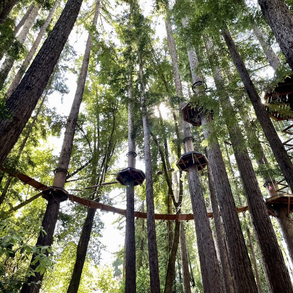 Mount Hermon Adventures - Platforms of the final challenge location. - Challenge Courses Near Me - Mount Hermon, California Mount Hermon Adventures - Platforms of the final challenge location. - Challenge Courses Near Me - Mount Hermon, California