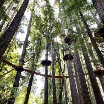 Mount Hermon Adventures - Platforms of the final challenge location. - Challenge Courses Near Me - Mount Hermon, California