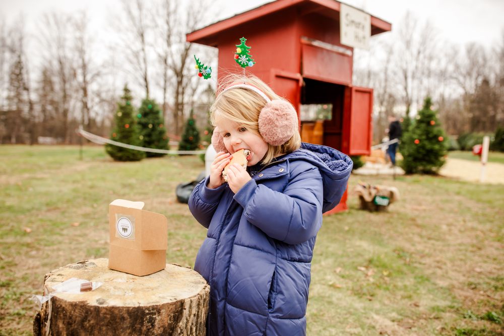 Trees For Less Nursery - tree service in Mequon, WI