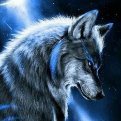 Holiday - Blue wolf 187