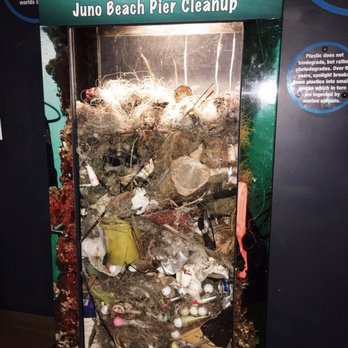 Loggerhead Marinelife Center - Awful! Be mindful everyone! - Community Service/Non-Profit Near Me - Juno Beach, Florida Loggerhead Marinelife Center - Awful! Be mindful everyone! - Community Service/Non-Profit Near Me - Juno Beach, Florida