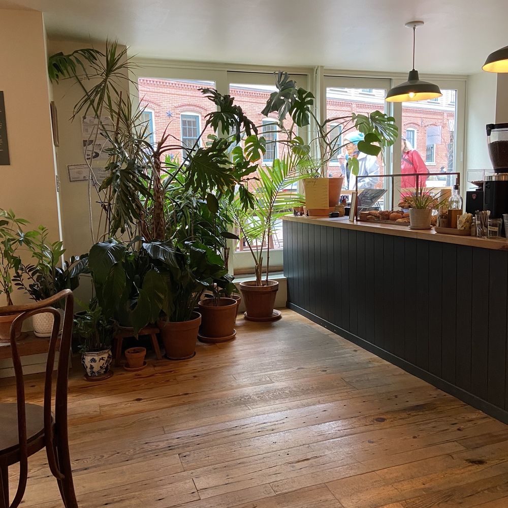 Faro - Cafes Near Me - Cambridge, Massachusetts Faro - Cafes Near Me - Cambridge, Massachusetts