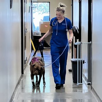 MedVet Indianapolis - Veterinarians Near Me - Carmel, Indiana MedVet Indianapolis - Veterinarians Near Me - Carmel, Indiana