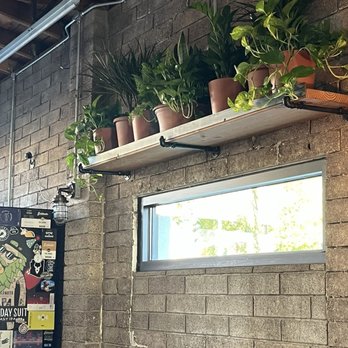 Goldwater Brewing - Beautiful plants! - Breweries Near Me - Scottsdale, Arizona Goldwater Brewing - Beautiful plants! - Breweries Near Me - Scottsdale, Arizona