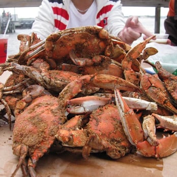 BAHAMA MAMA'S - CLOSED - Updated February 2026 - 10 Photos & 29