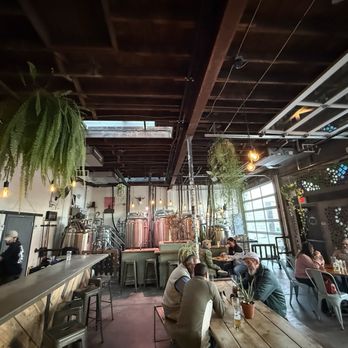 Gravity Bound Brewing - Gravity bound interior - The image shows the interior of a brewery with a high, dark wooden ceiling and large windows allowing natural light. Hanging plants, including ferns, are suspended from the ceiling. Brewing tanks are visible in the background, and there are various tables with customers seated, some engaged in conversation. The space combines industrial and natural elements, with a bar area on the left and a mix of seating options. - Brewpubs Near Me - Albuquerque, New Mexico