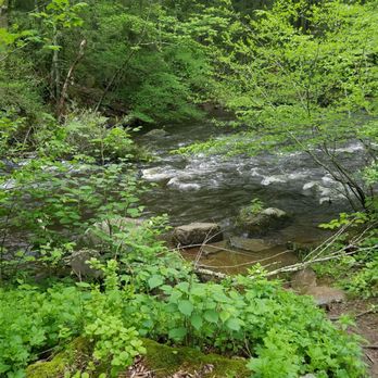 Hacklebarney State Park - Black River - Parks Near Me - Long Valley, New Jersey Hacklebarney State Park - Black River - Parks Near Me - Long Valley, New Jersey