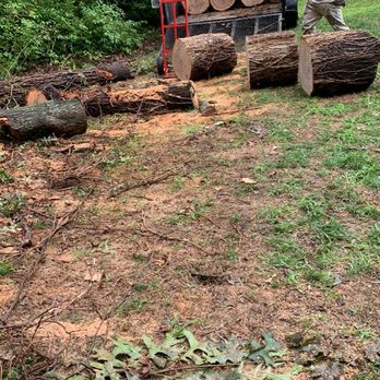 Gabriel Tree Service - Tree Services Near Me