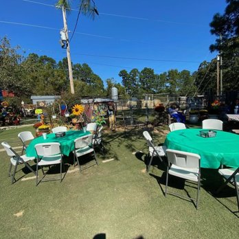 Three Chicks Feed, Seed & Cafe - Outdoor seating - Cafes Near Me - Texarkana, Arkansas Three Chicks Feed, Seed & Cafe - Outdoor seating - Cafes Near Me - Texarkana, Arkansas