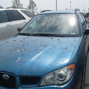Tech Plus Auto Services - I had to drive this around...sunglasses on for sure! - Auto Repair Near Me - Mississauga, Ontario Tech Plus Auto Services - I had to drive this around...sunglasses on for sure! - Auto Repair Near Me - Mississauga, Ontario