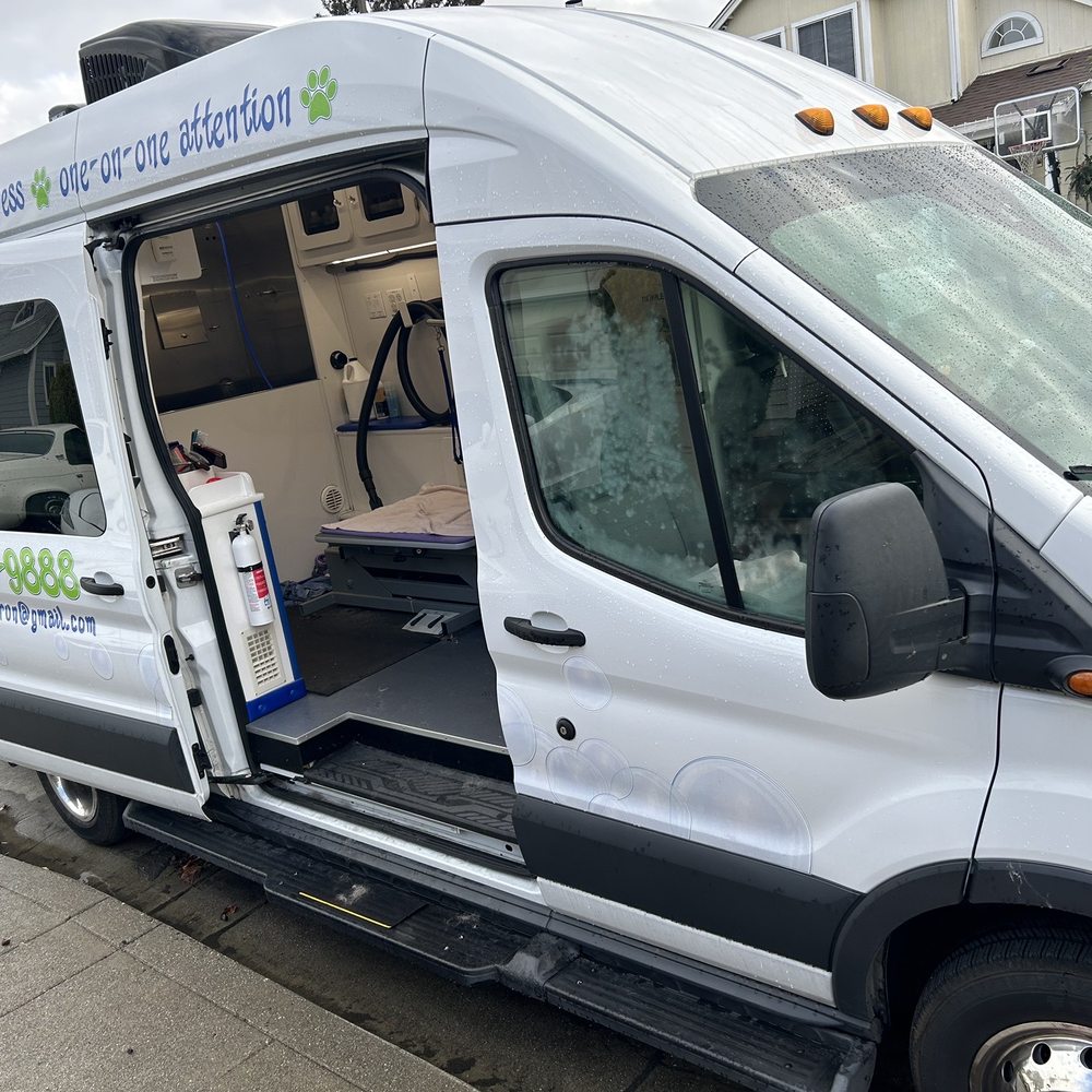 THE BEST 10 Mobile Cat Grooming in Fairfield, CA - Updated 2026 - Quality &  Affordability - Yelp