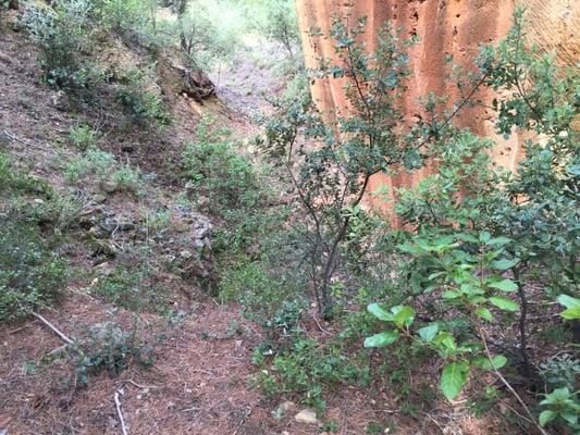 Carrières de Bibémus by null
