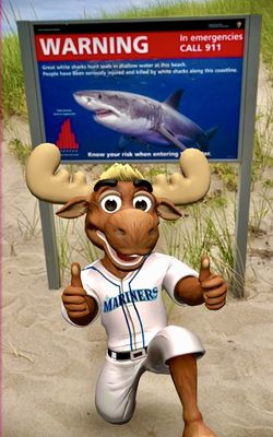 Alki Beach Park by null