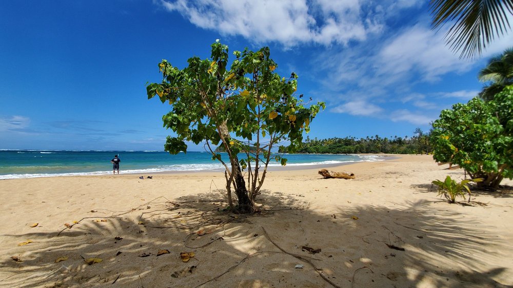 CERRO GORDO BEACH 18 Photos Puerto Rico 690 S/N, Dorado, Puerto