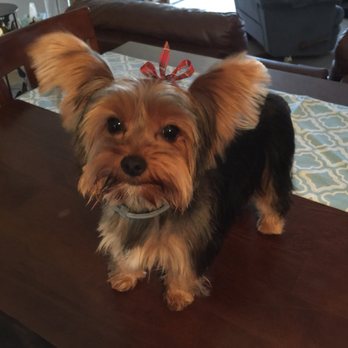 FURology Pet SPaw - Pet Groomers Near Me - Santee, California FURology Pet SPaw - Pet Groomers Near Me - Santee, California