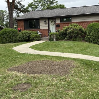 Jungle Jims Tree Service - Front yard! - Tree Services Near Me - Monroeville, Pennsylvania Jungle Jims Tree Service - Front yard! - Tree Services Near Me - Monroeville, Pennsylvania