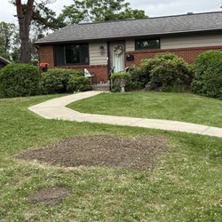 Jungle Jims Tree Service