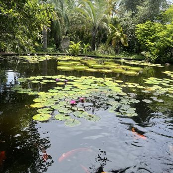 Miami Beach Botanical Garden - Botanical Gardens Near Me - Miami Beach, Florida