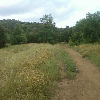 Bull Creek Greenbelt - Parks Near Me - Austin, Texas
