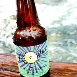 Rogue Kombucha - Rogue Kombucha Balance- Ginger, Tulsi, Lavender