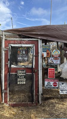 Fiorelli Pizza by null