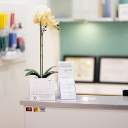 Plaza Physiotherapy Clinic - Reception