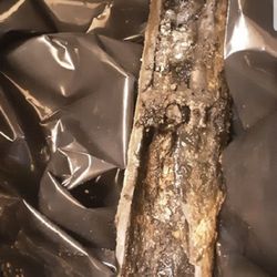 Go Plumbing and More