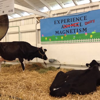 Evergreen State Fair - Evergreen State Fair 10 - Local Flavor Near Me - Monroe, Washington